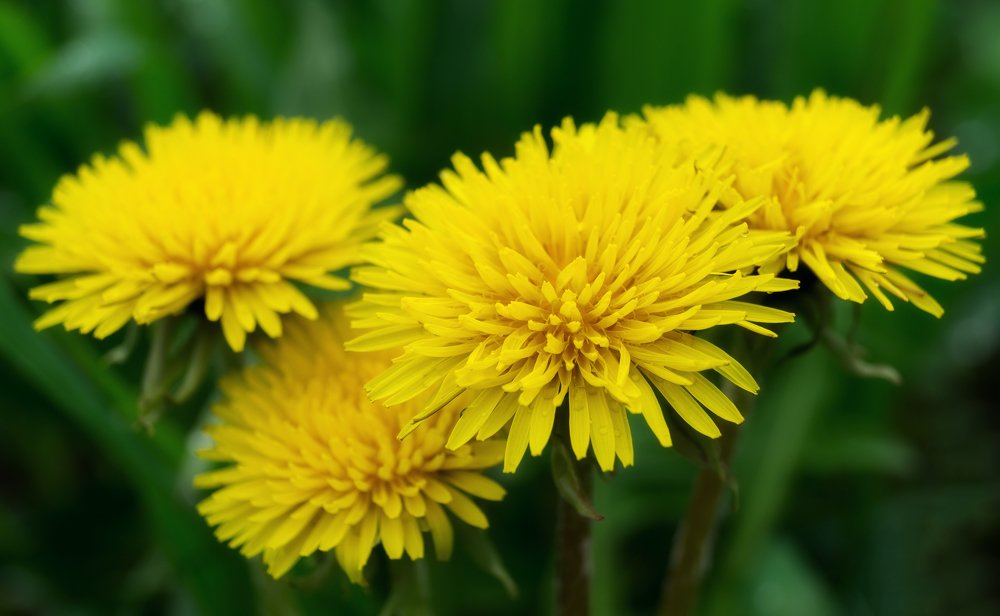 Photograph by Сергей Коваленко