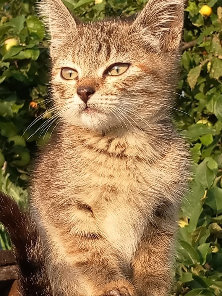 Photo #3506911