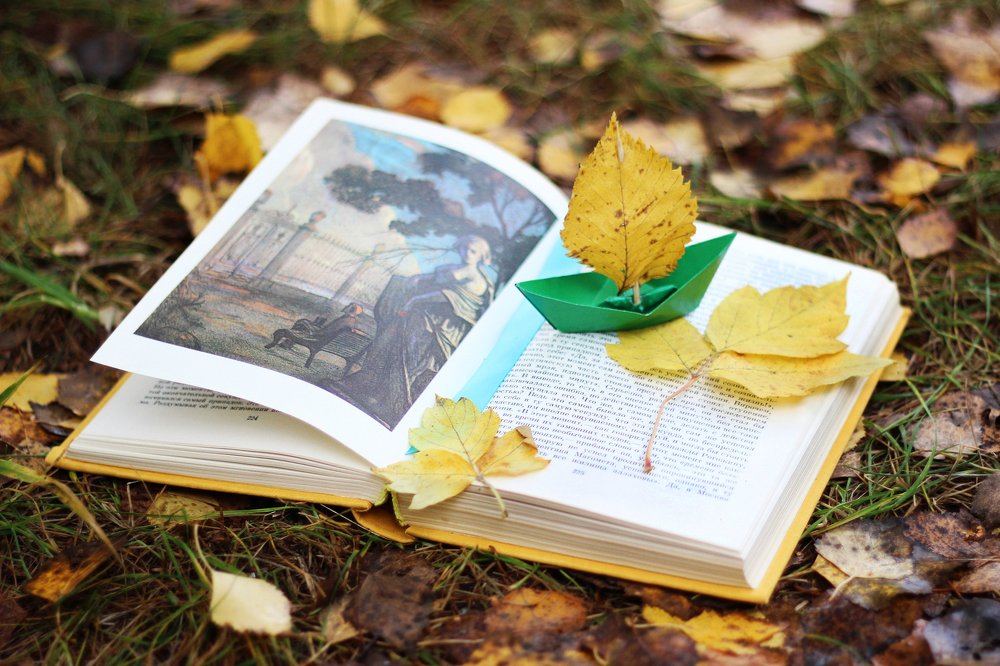 Осеннее плавание