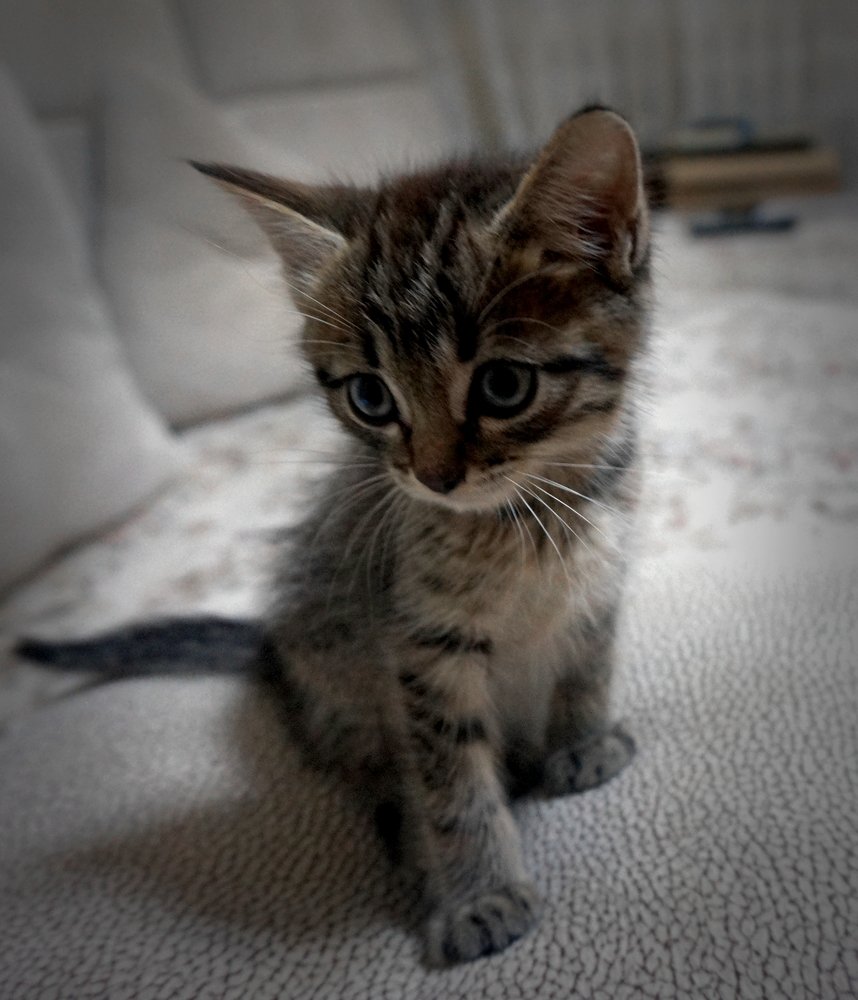 Photograph by Алия Байсыкова