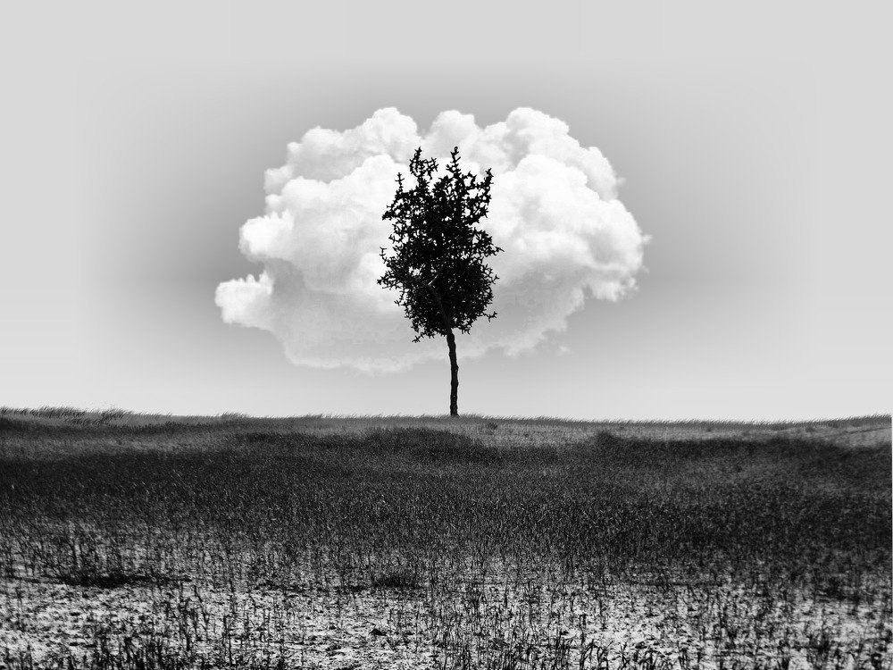 Фотография автора arabzadeh hossein