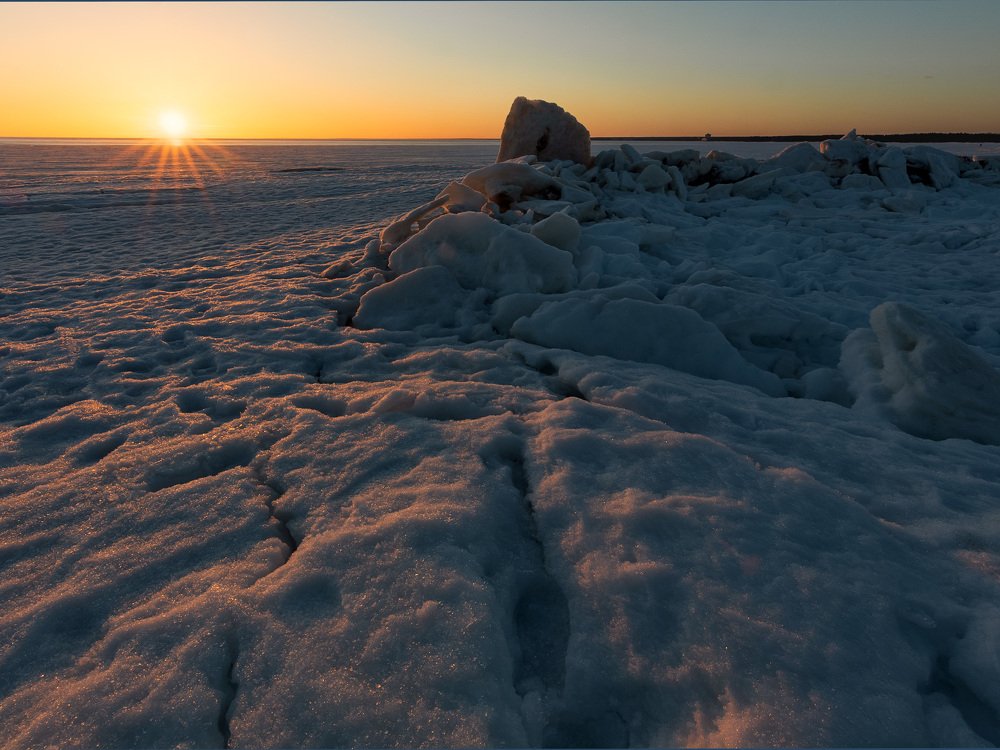 Photograph by Елена Лебедева