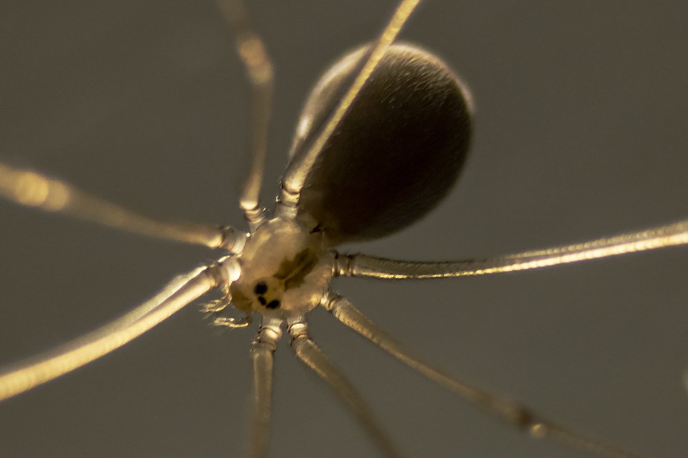 Photograph by Елена Баландина