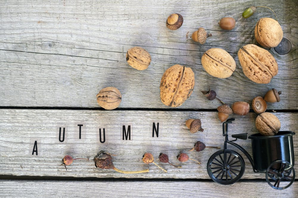 Photograph by Baciu Liliana