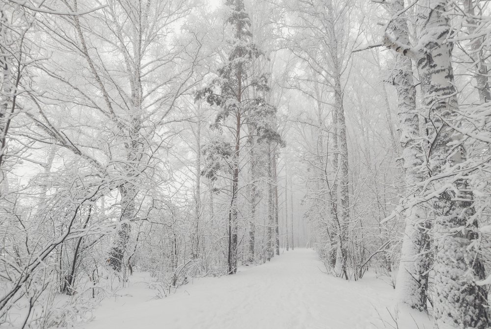 Photograph by Сергей Коваленко