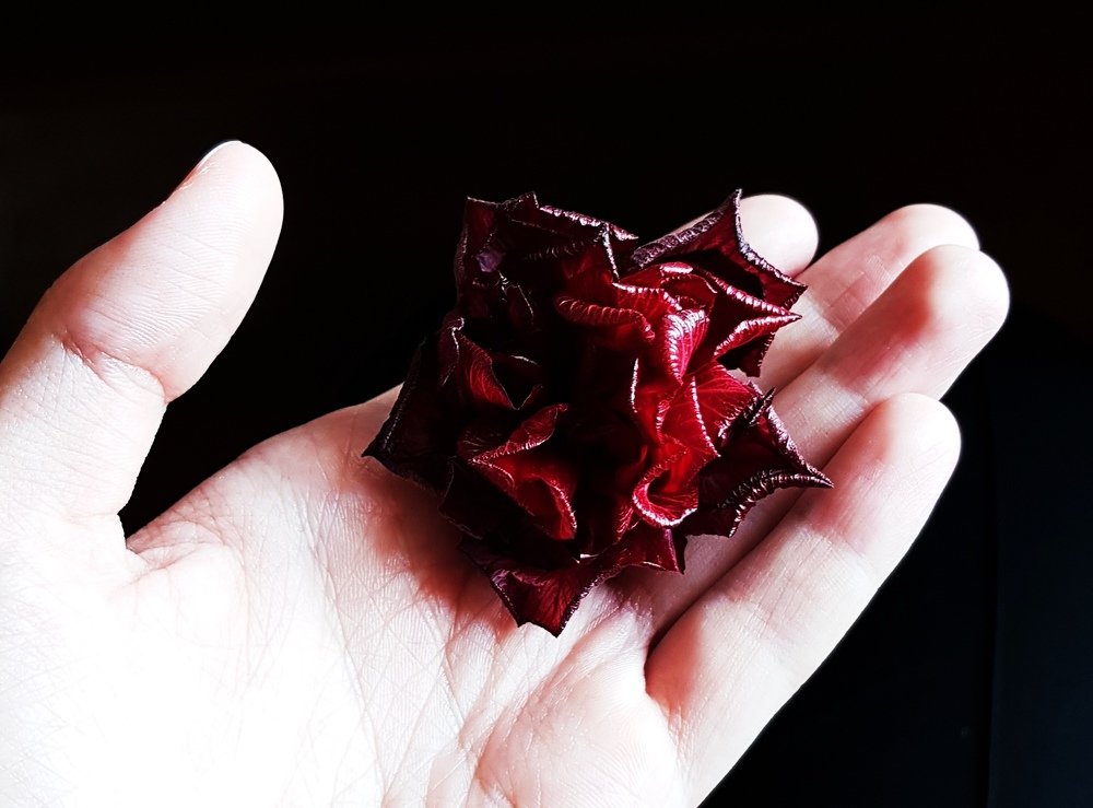 Photograph by Lena Polyanskaya