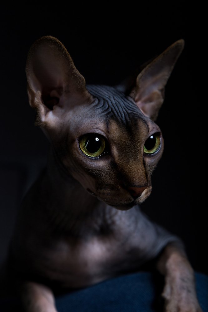 Photograph by Евгения