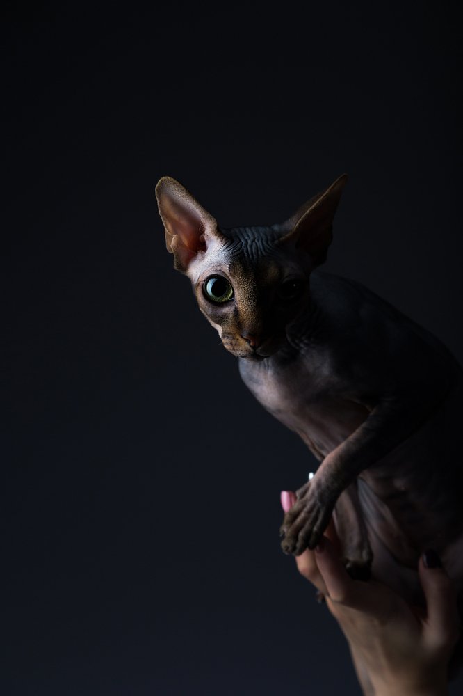 Photograph by Евгения