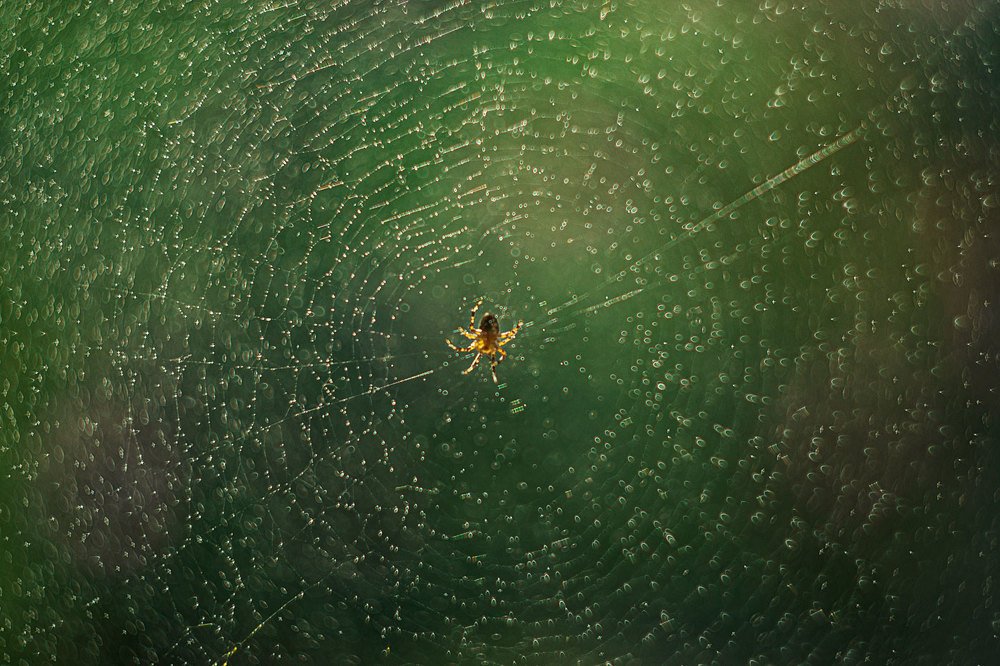 Photograph by Марина Згоник