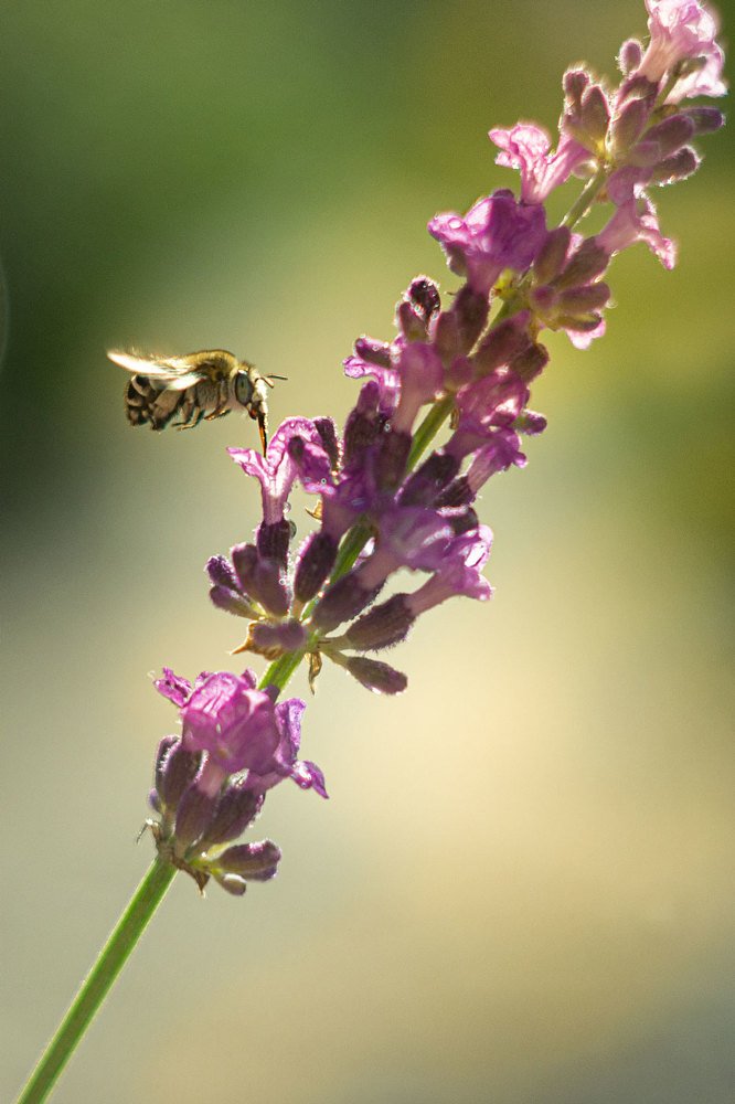 Photograph by Марина Згоник