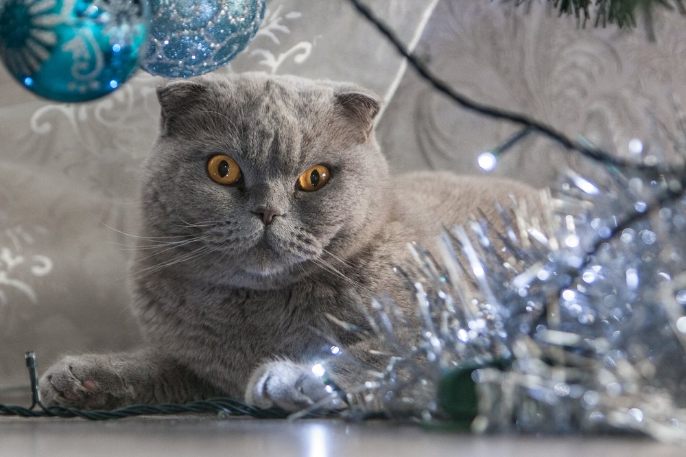 Photograph by Александр Лапшин