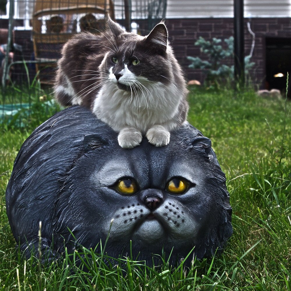 Photograph by Александр Астафьев