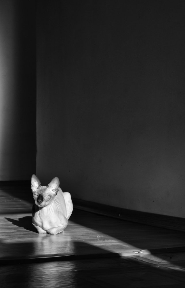 Photograph by Анна Милёшина