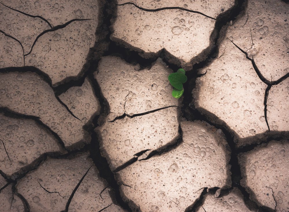 Фотография автора Yevgeny Anatolyevich