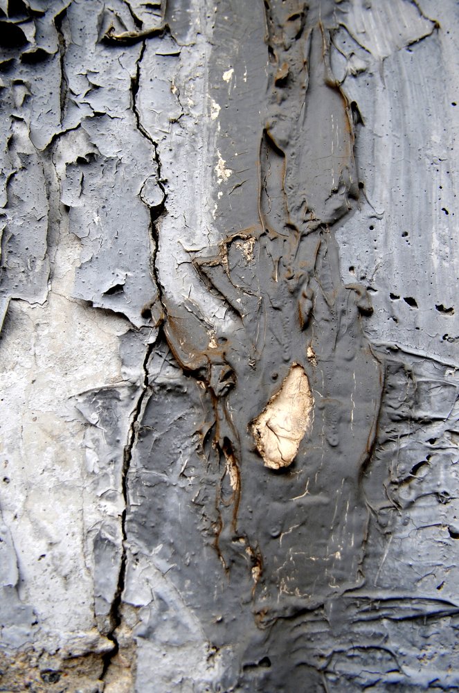 Photograph by игорь