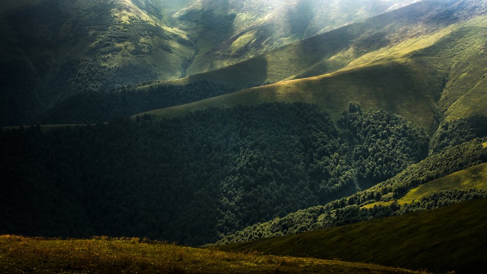 Photograph by Полина Хрол