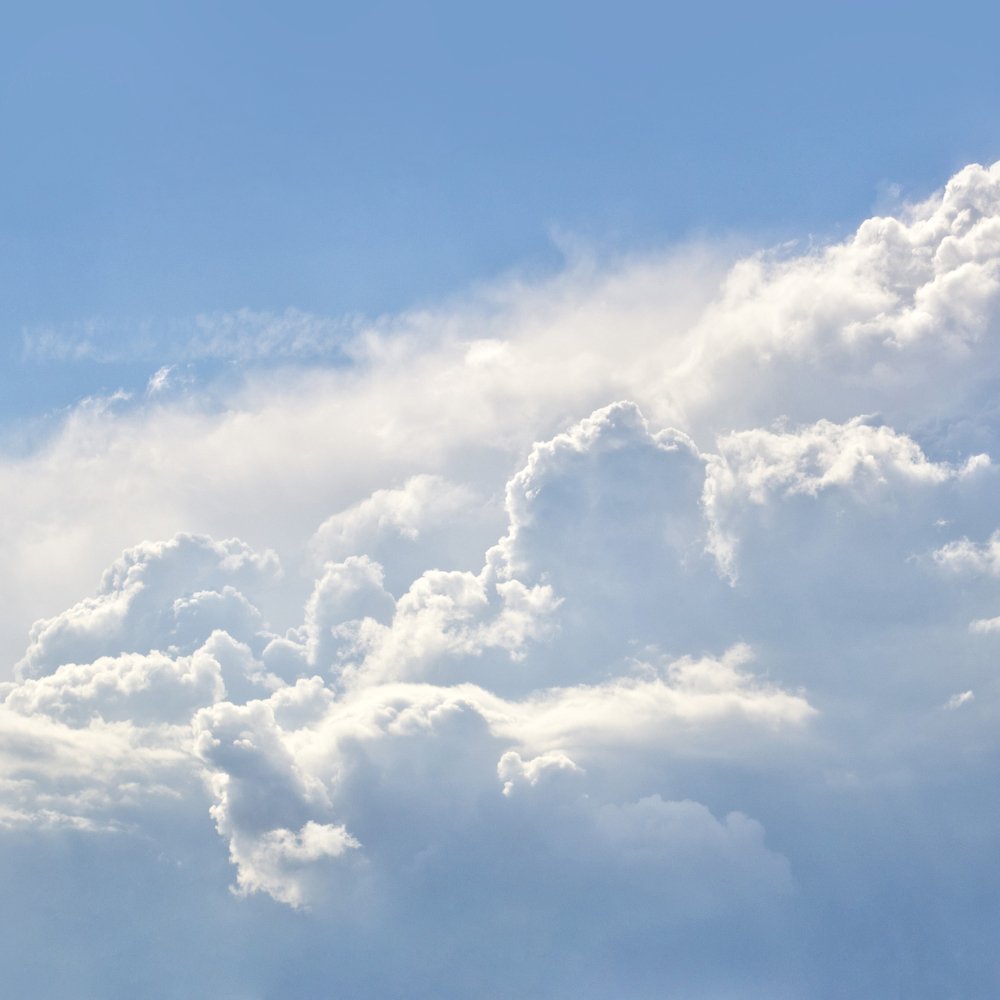 Photograph by Полина Хрол