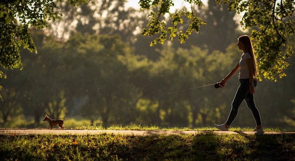 Фотография автора Юрий Юрьев