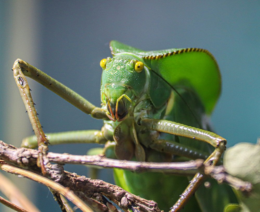Photograph by Лариса Рулёва