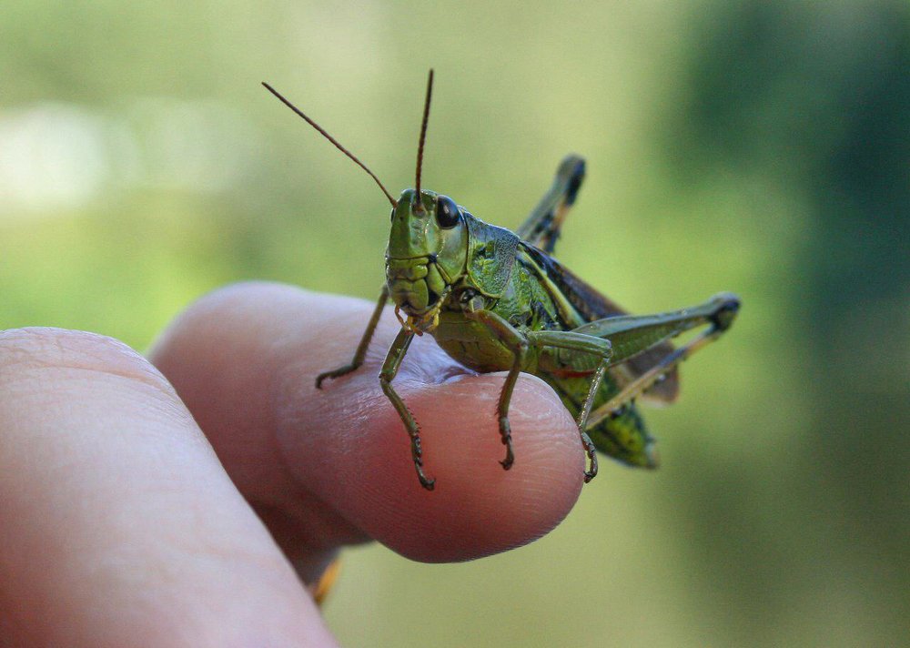 Photograph by Лариса Рулёва