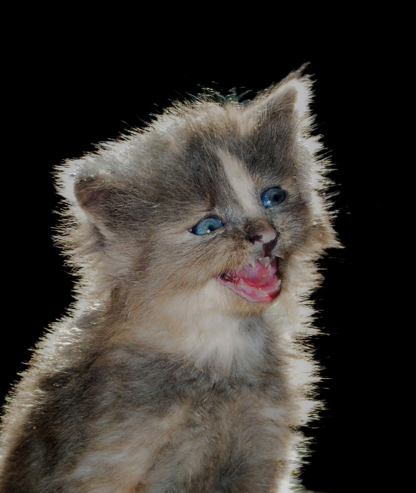 Photograph by Лариса Рулёва