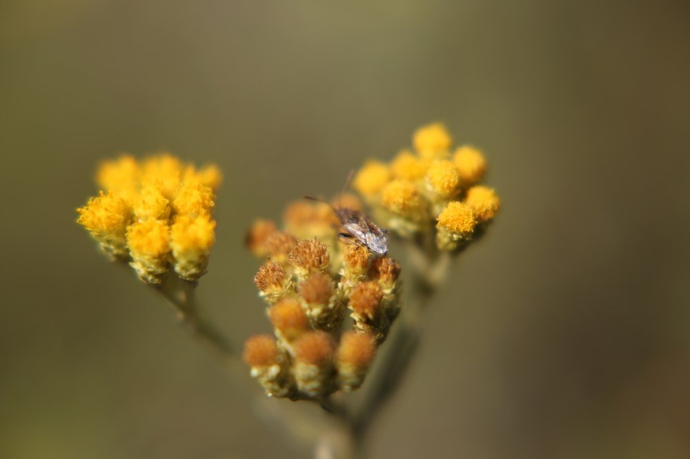 Photograph by Татьяна Толстая