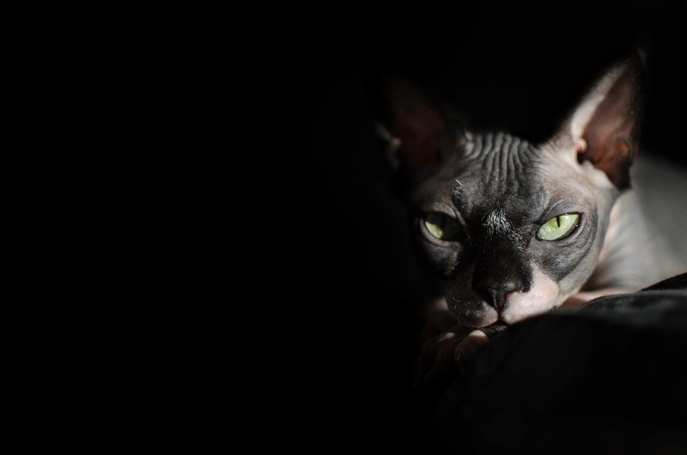 Photograph by Aleksandra Patenko