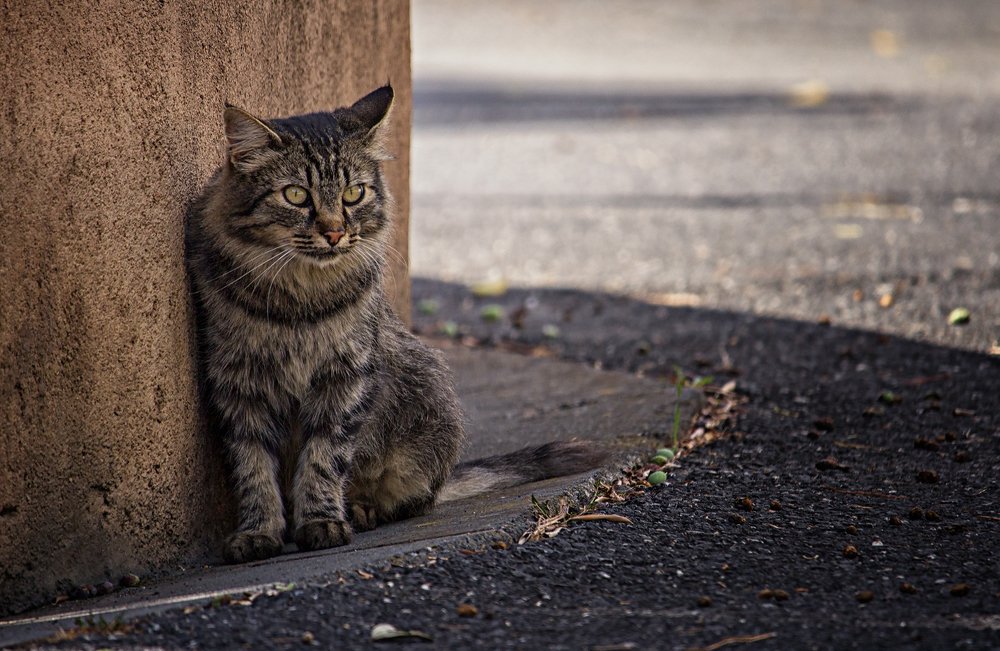 Photograph by Markus Bieck