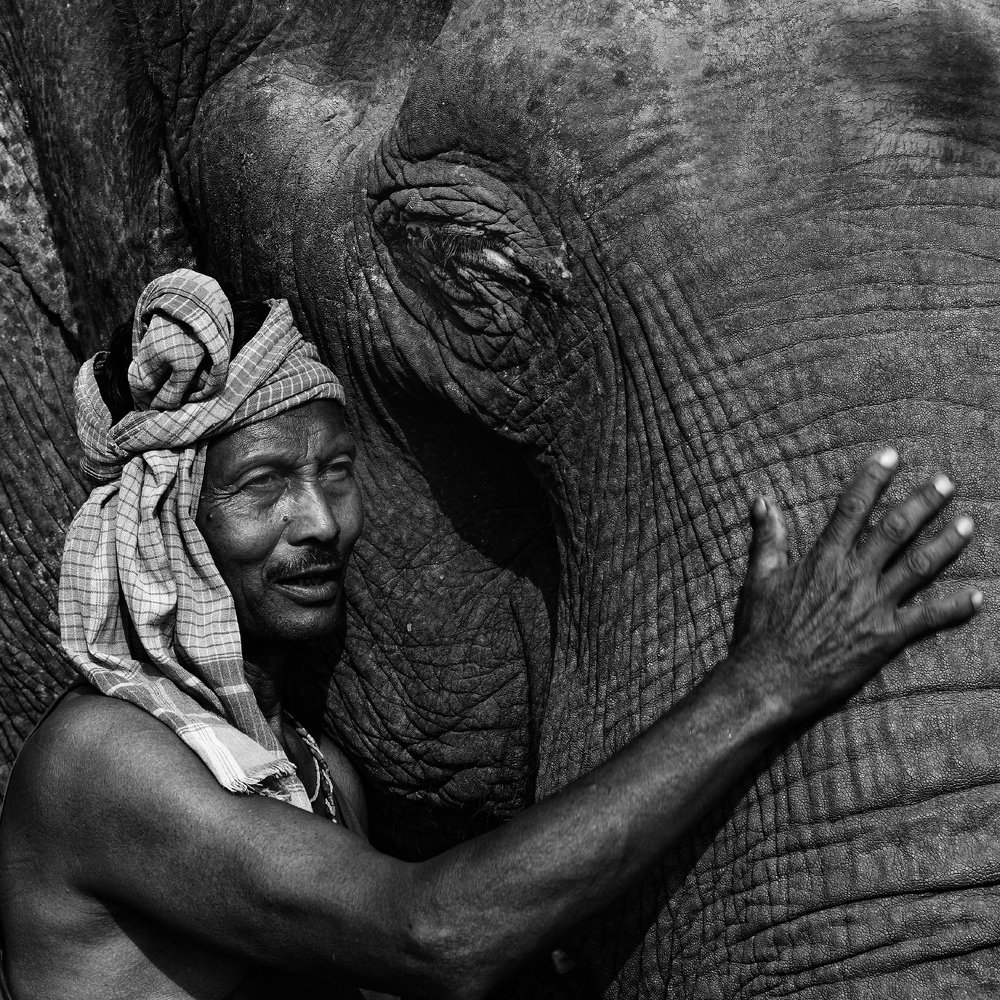 Фотография автора Sadiqur Rahman