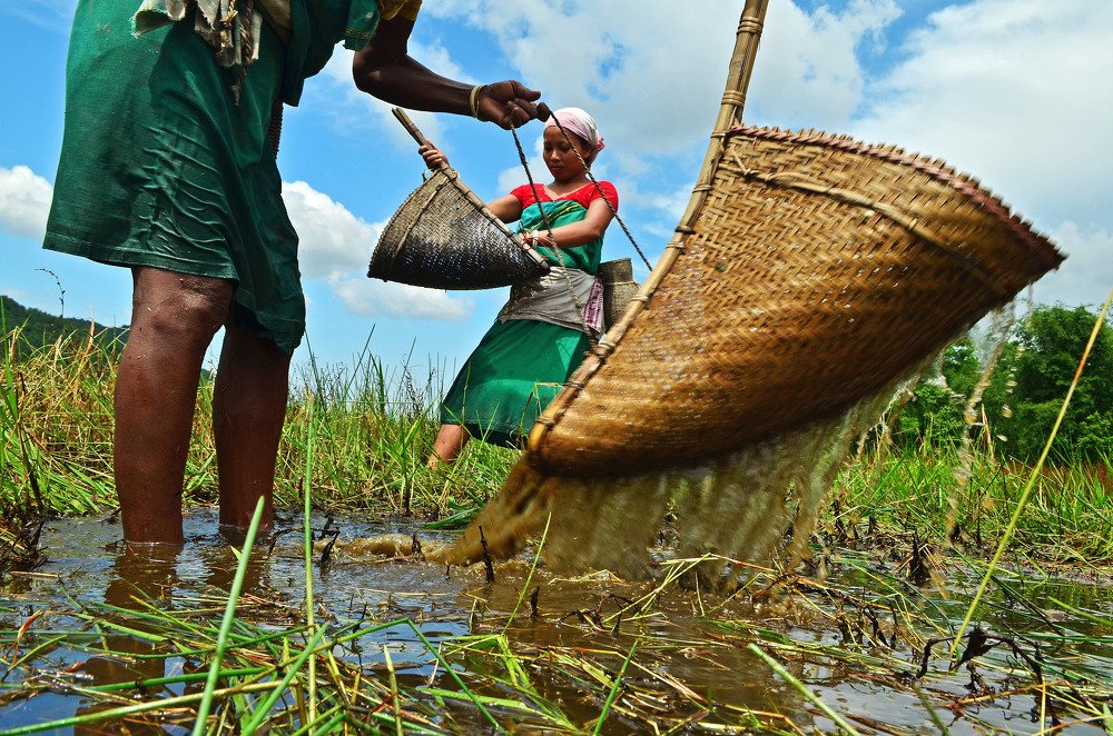 Фотография автора Sadiqur Rahman
