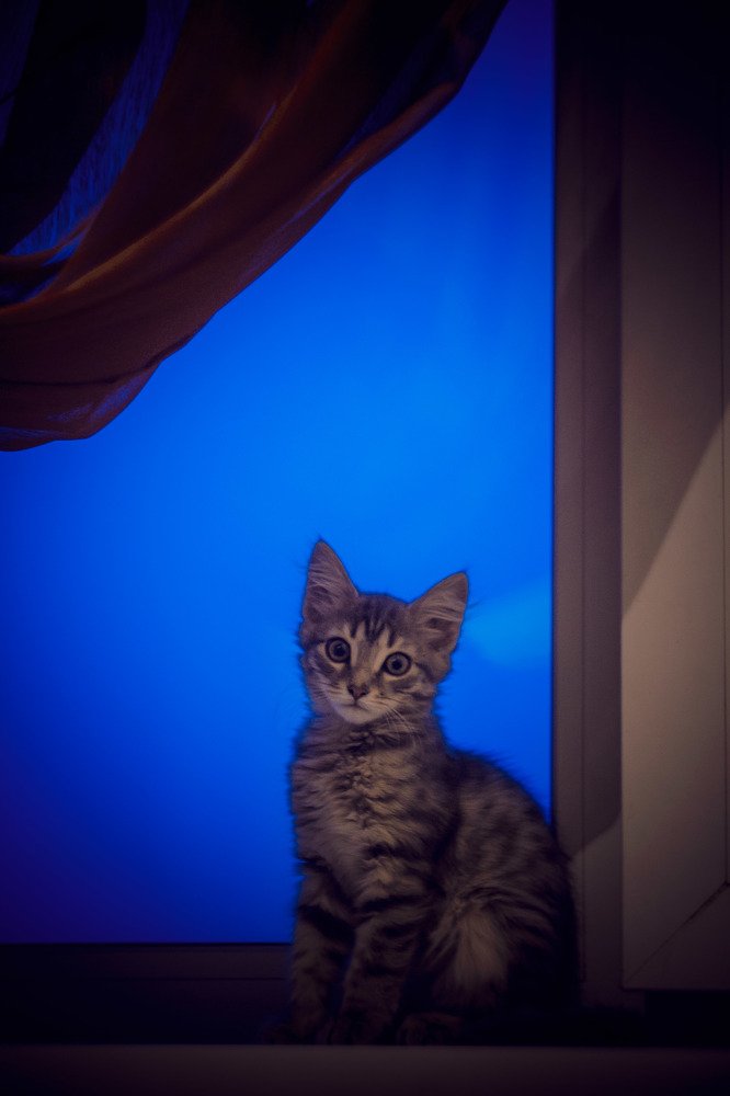 Photograph by Екатерина