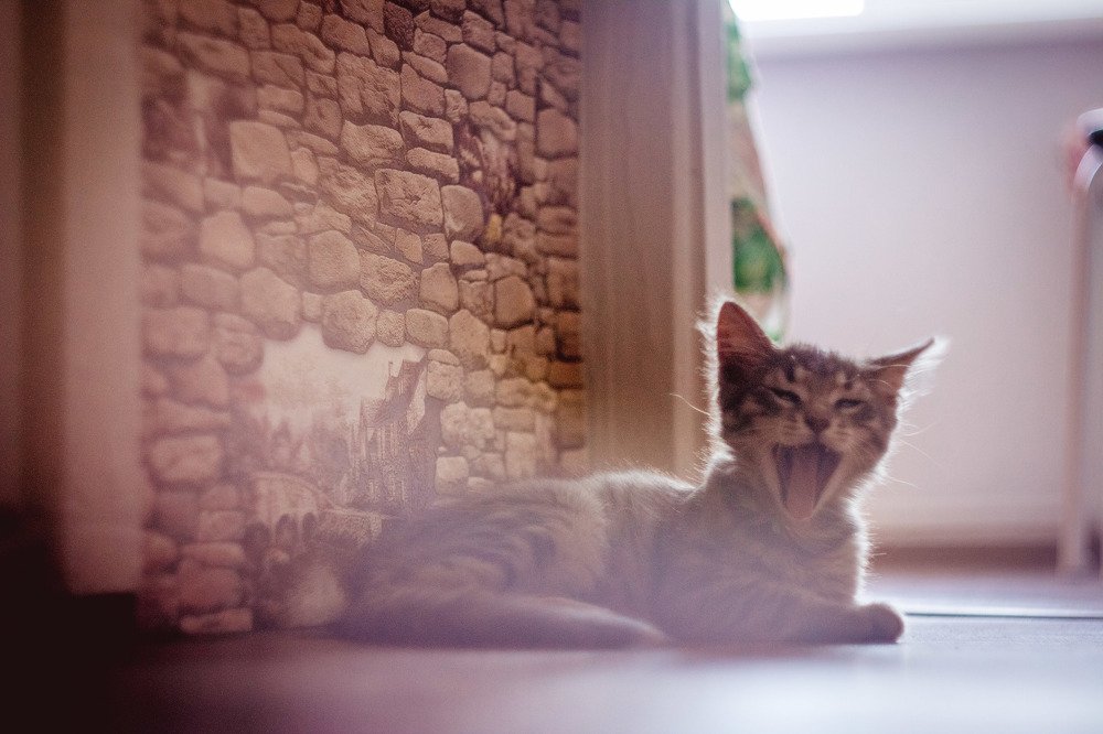 Photograph by Екатерина