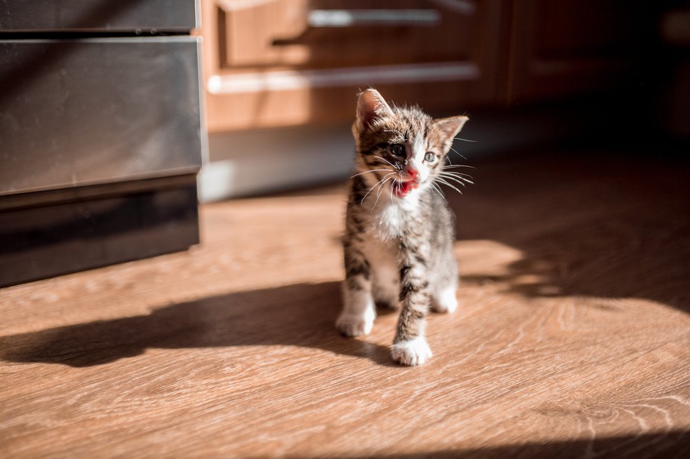 Photograph by Екатерина