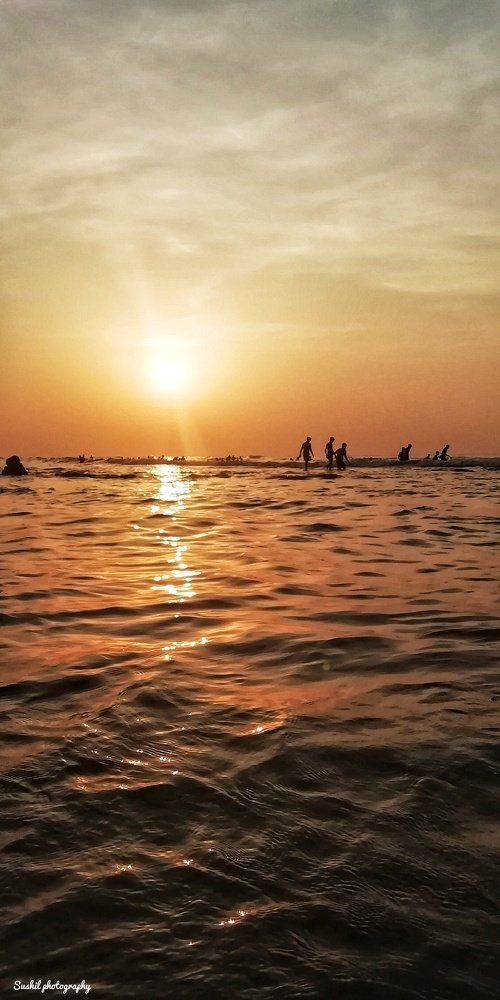 Photo #3508434