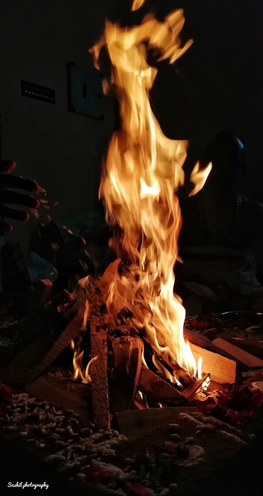 Photo #3508435