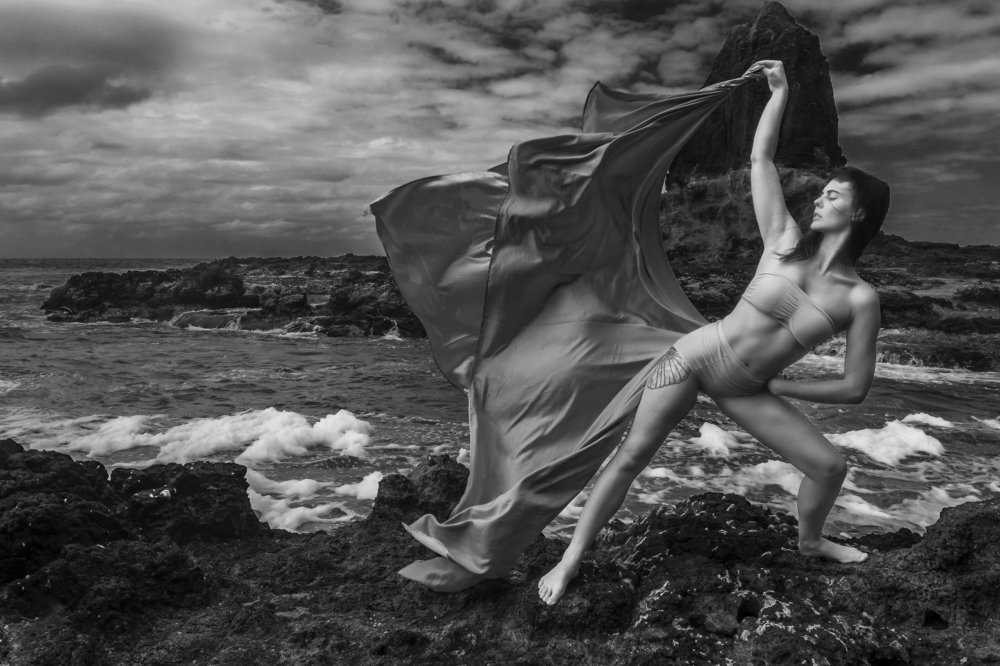 Kara Mandel - Visual Artist