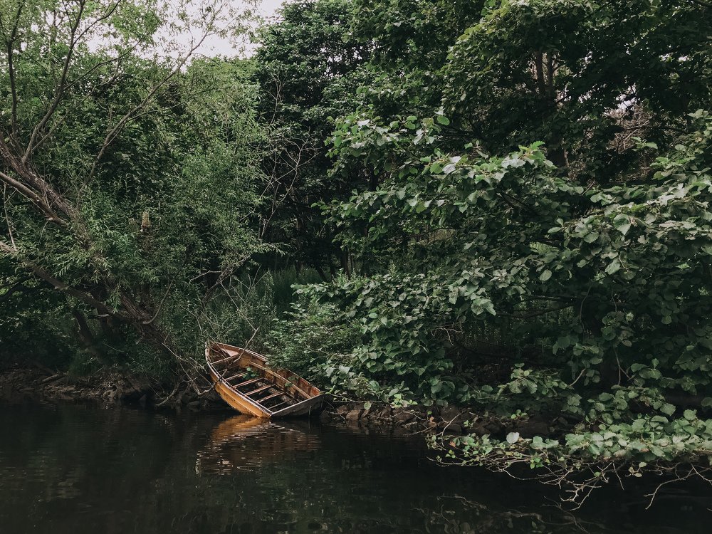 Photograph by Кладкевич Оксана