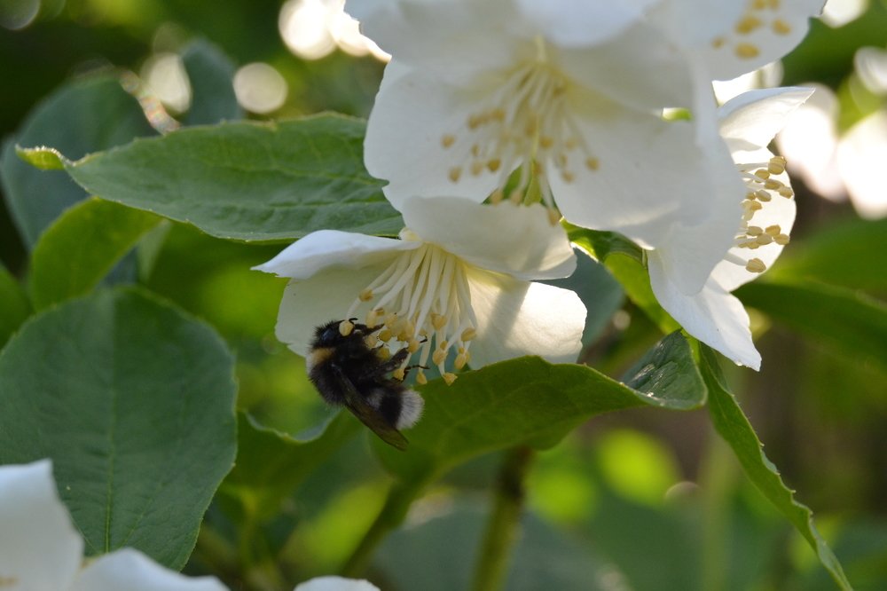 Photograph by Marina Afanaseva