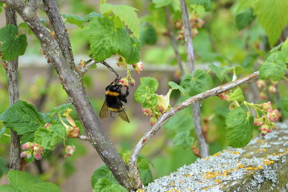 Photograph by Marina Afanaseva