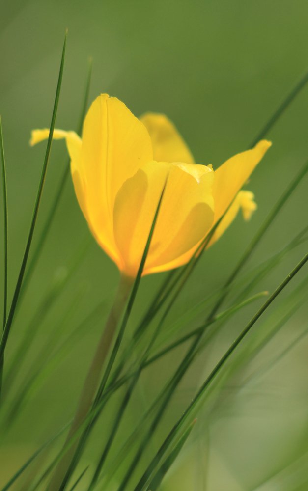 Photograph by Ирина Курьянова