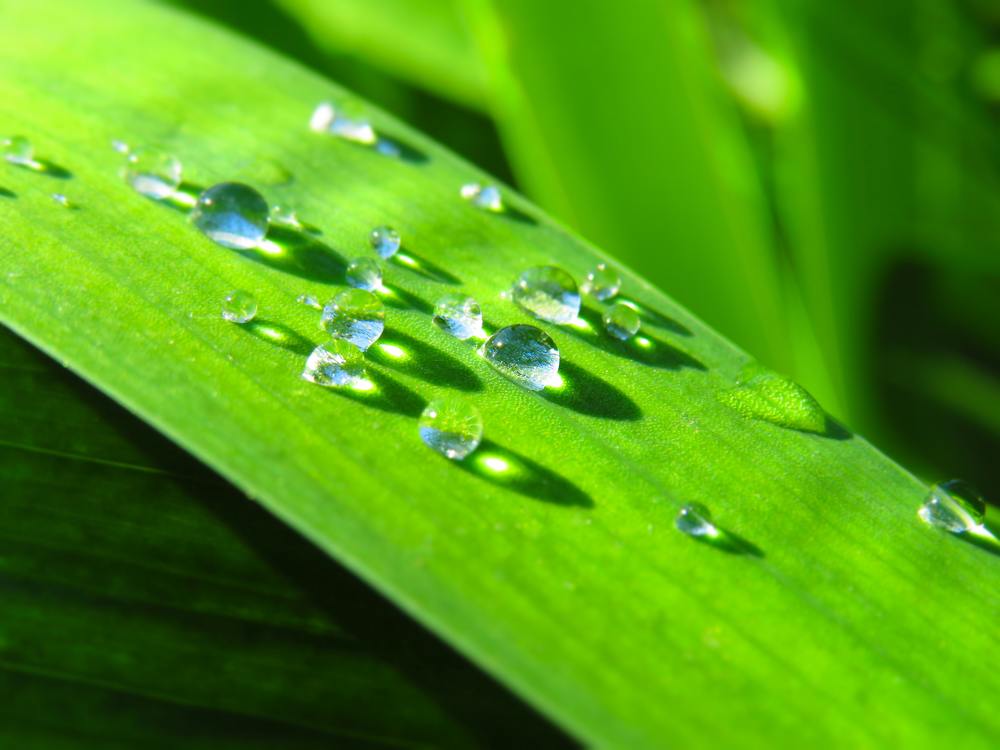 Photograph by Анастасия Романова