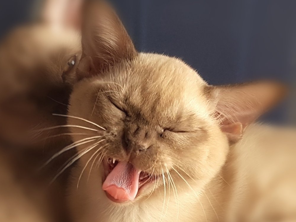 Photograph by Dzintra Damberga