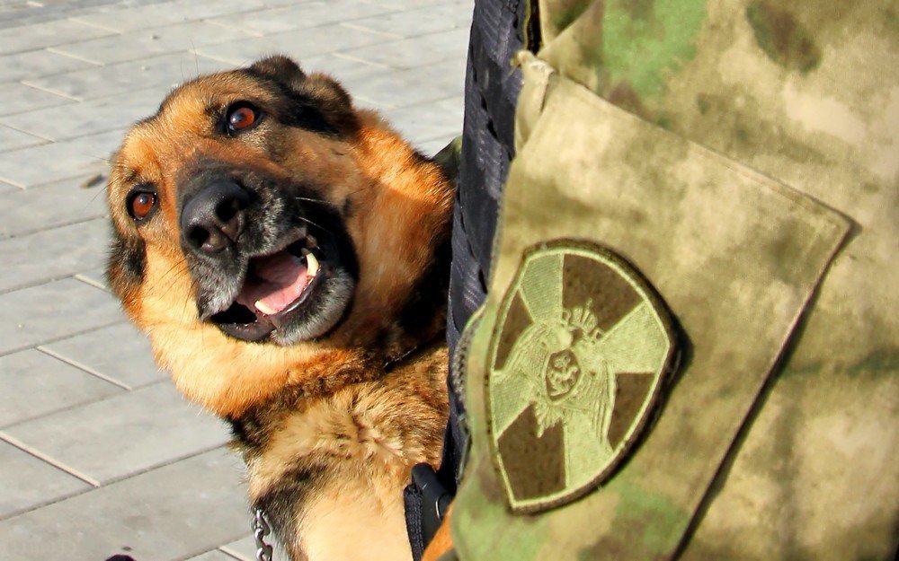 Photograph by Сергей Исигов