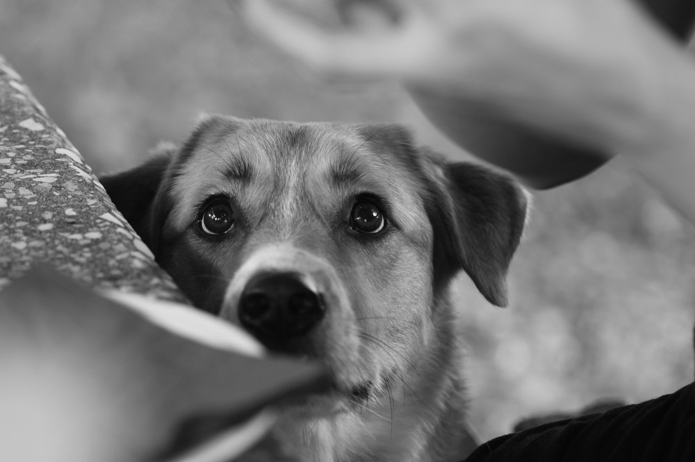 Photograph by Marija Milosavljevic