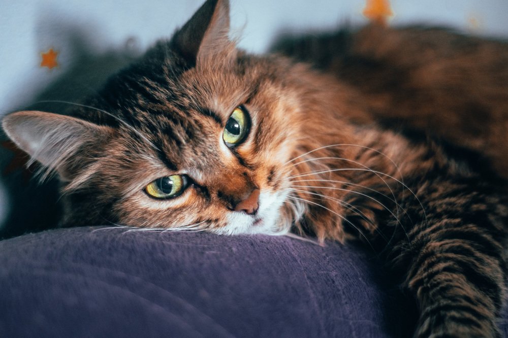 Photograph by Zorikhin Mikhail