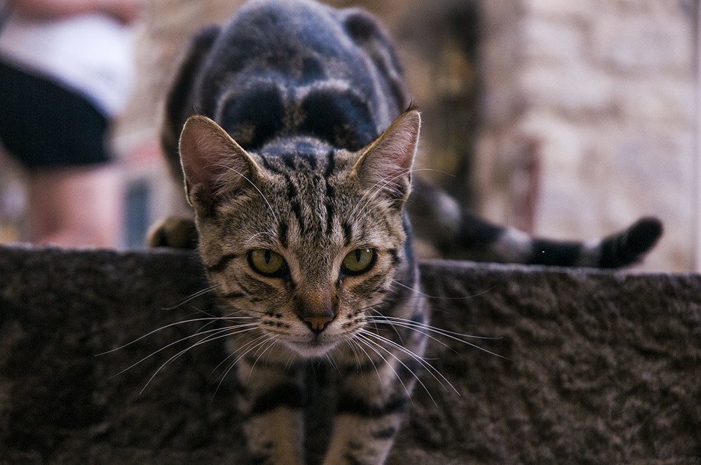 Photograph by Anton Udovenko