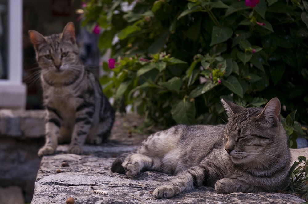 Photograph by Anton Udovenko