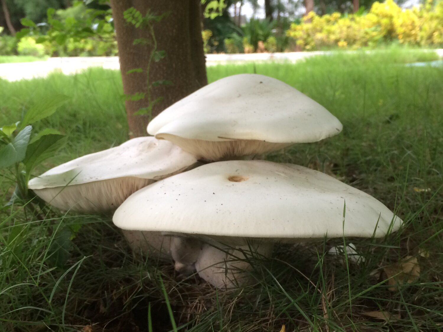 Photo #3508790