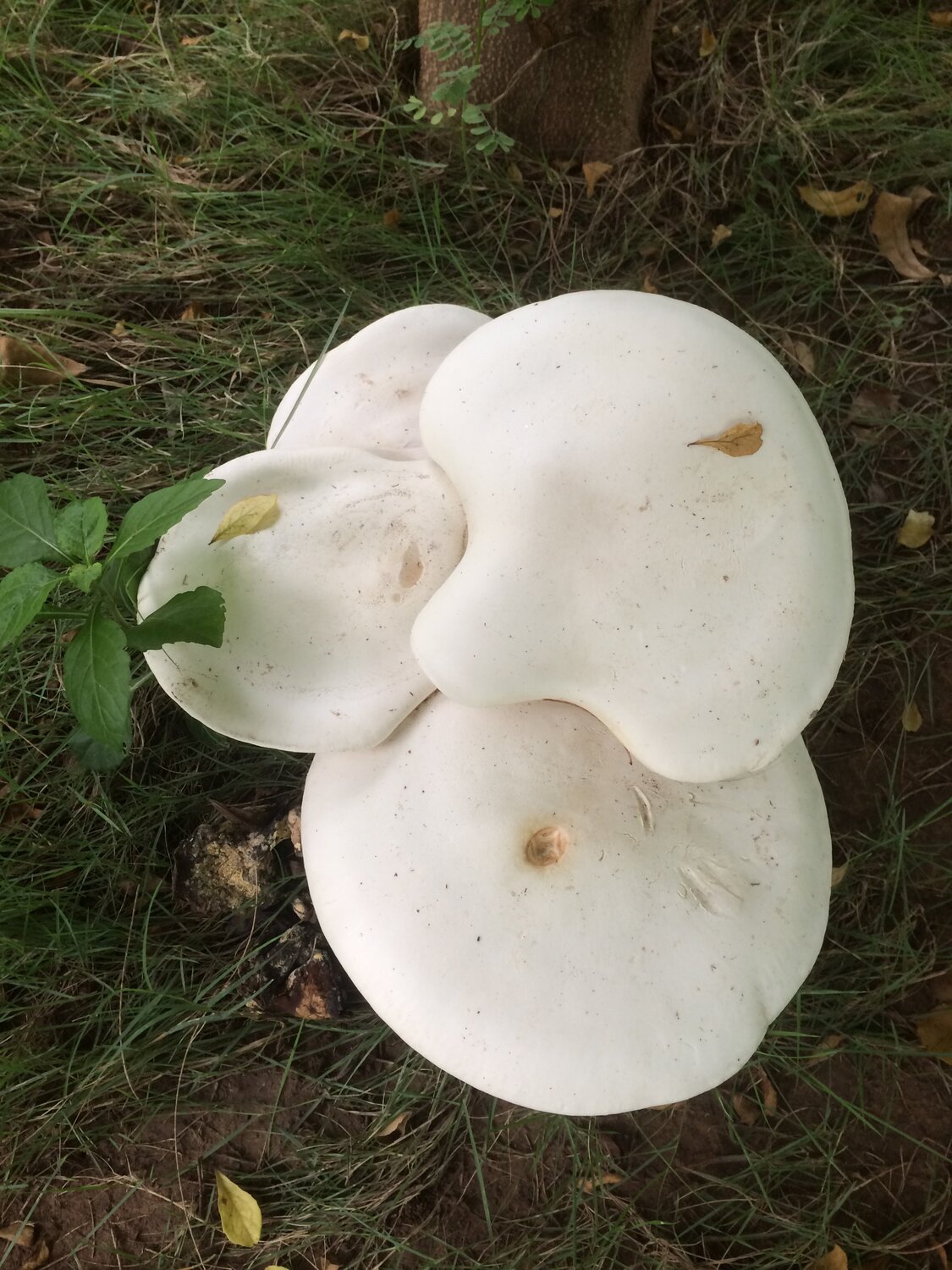 Photo #3508791
