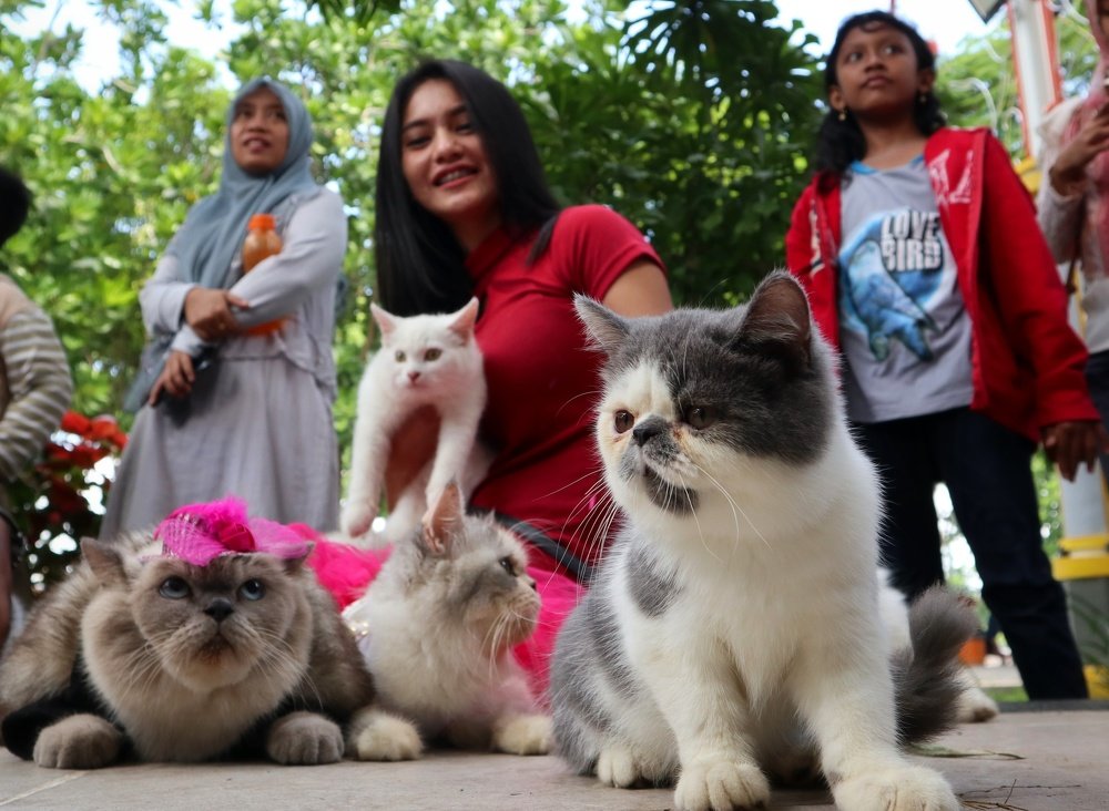 Photograph by chusnul ayok